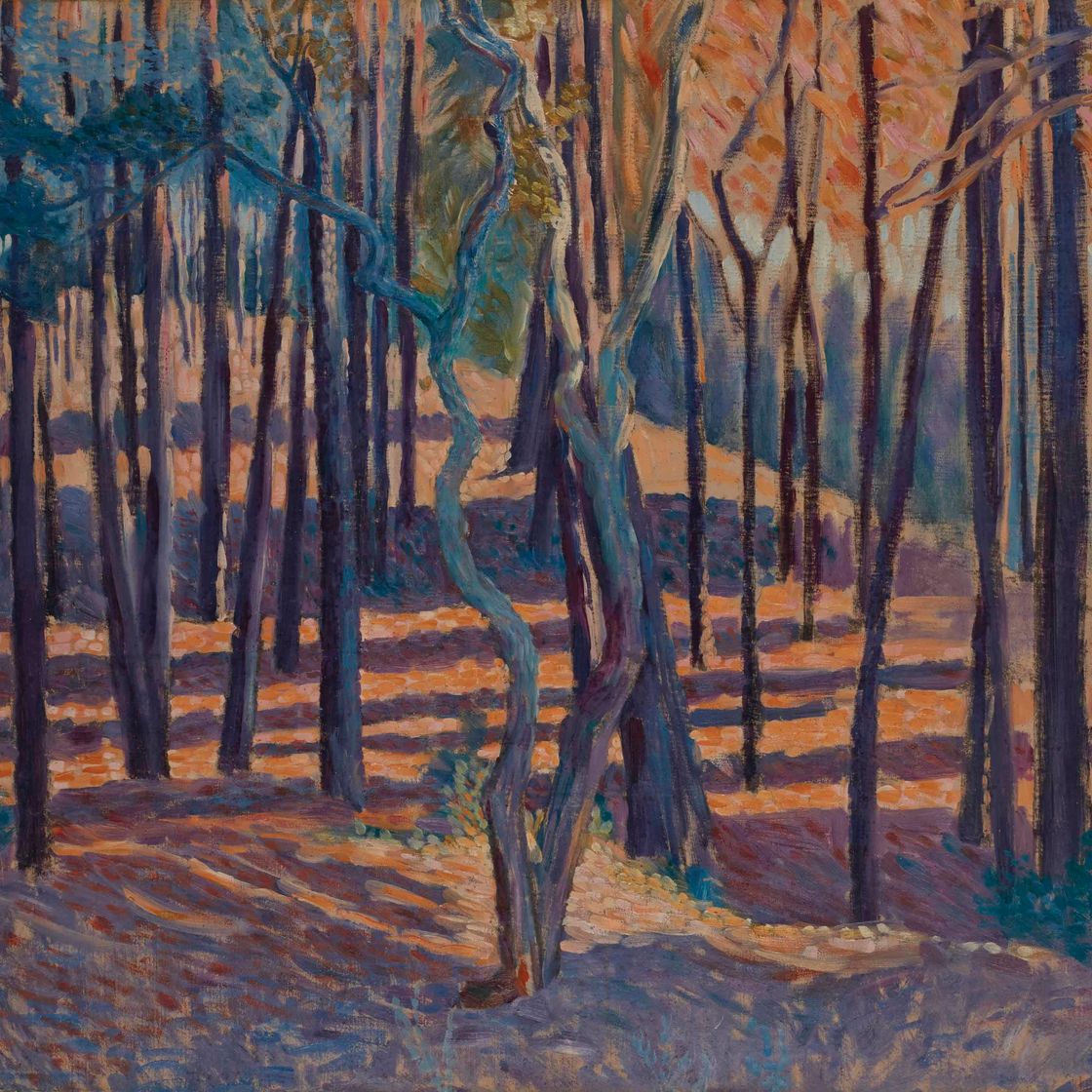 Henri Edmond Cross — Этюд на вечеринке, в булавках и су-буа