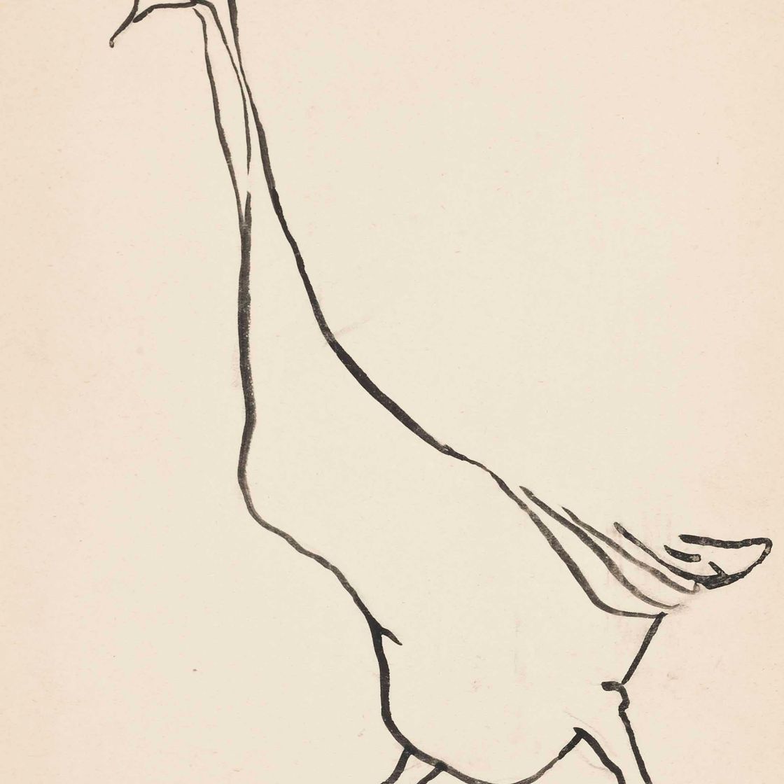 Henri Gaudier-Brzeska — Исследование гуся
