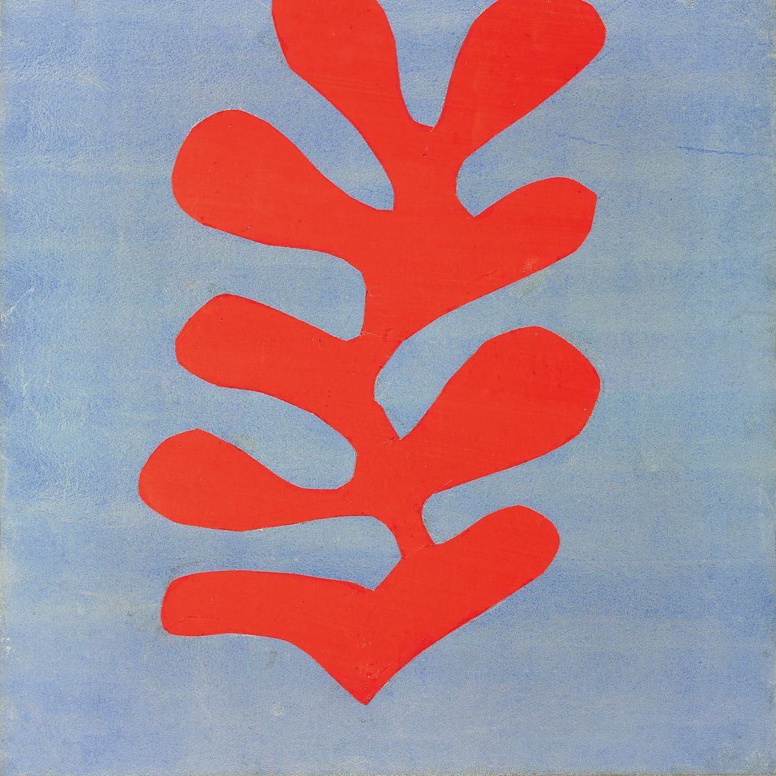Henri Matisse — Красные водоросли с нежно-голубым оттенком.
