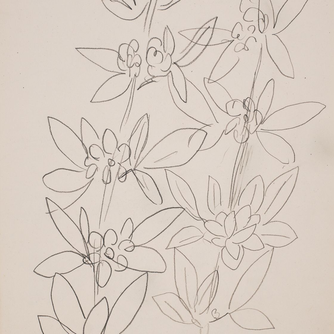 Henri Matisse — Искусственный жасмин (спереди); китайская маска (сзади)