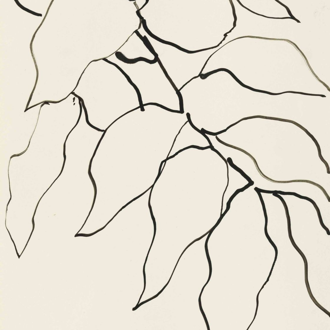 Henri Matisse — Фельетон