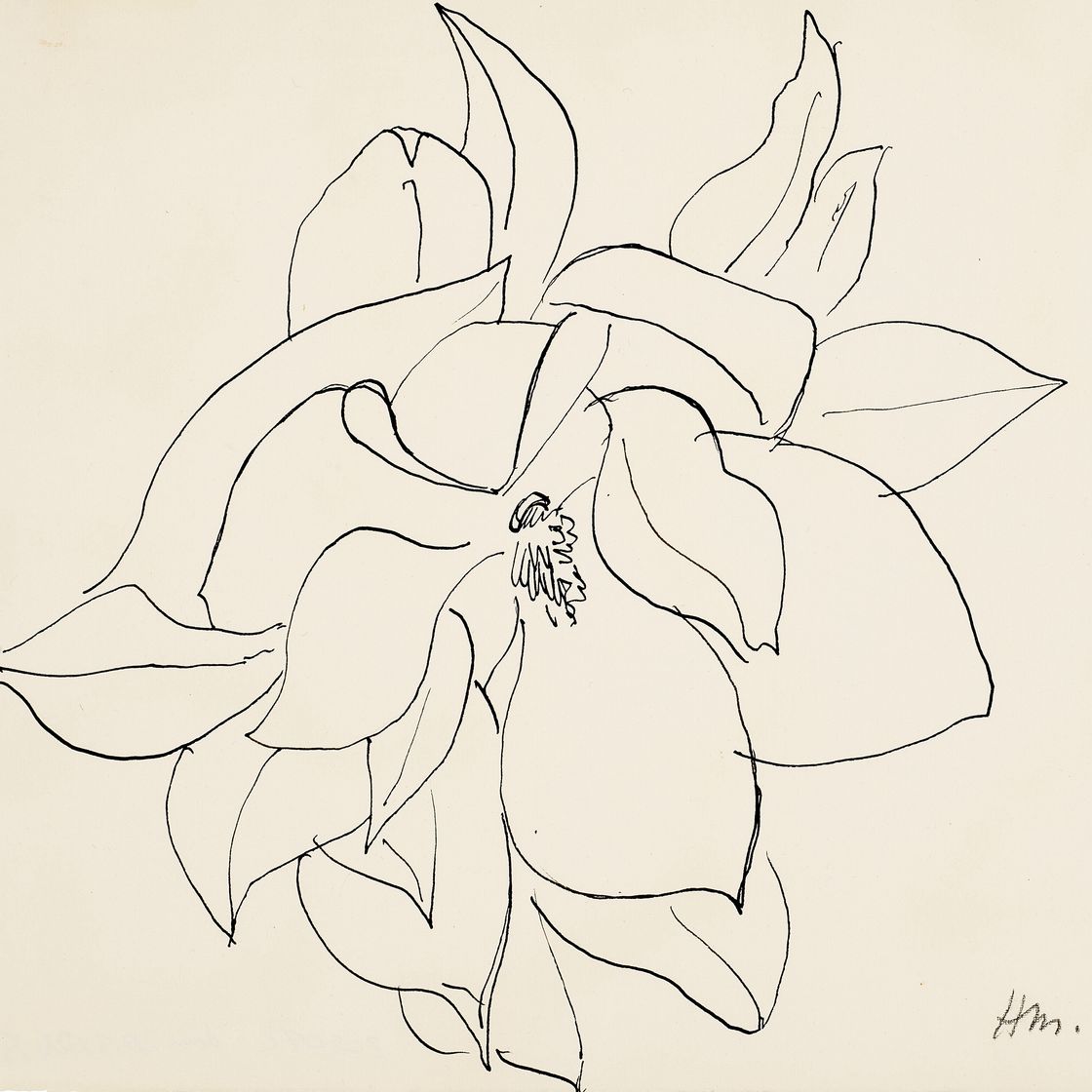 Henri Matisse — Магнолия