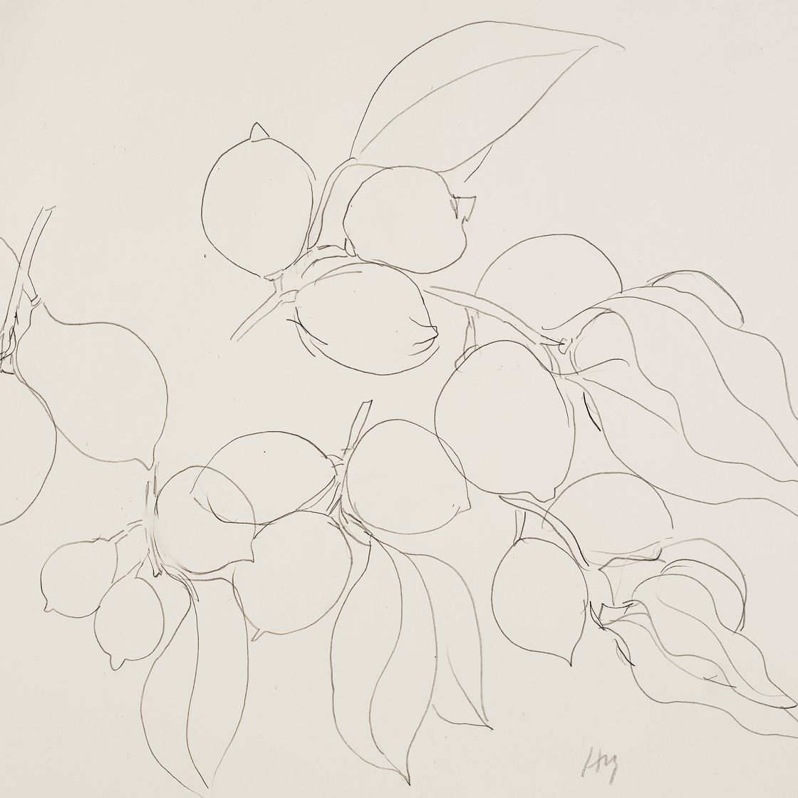 Henri Matisse — Этюд с цитрусами