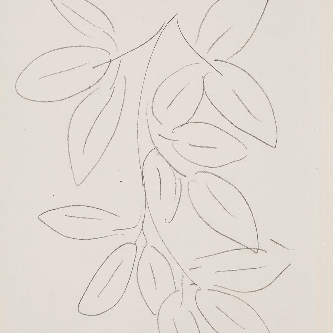 Henri Matisse — Фельетоны