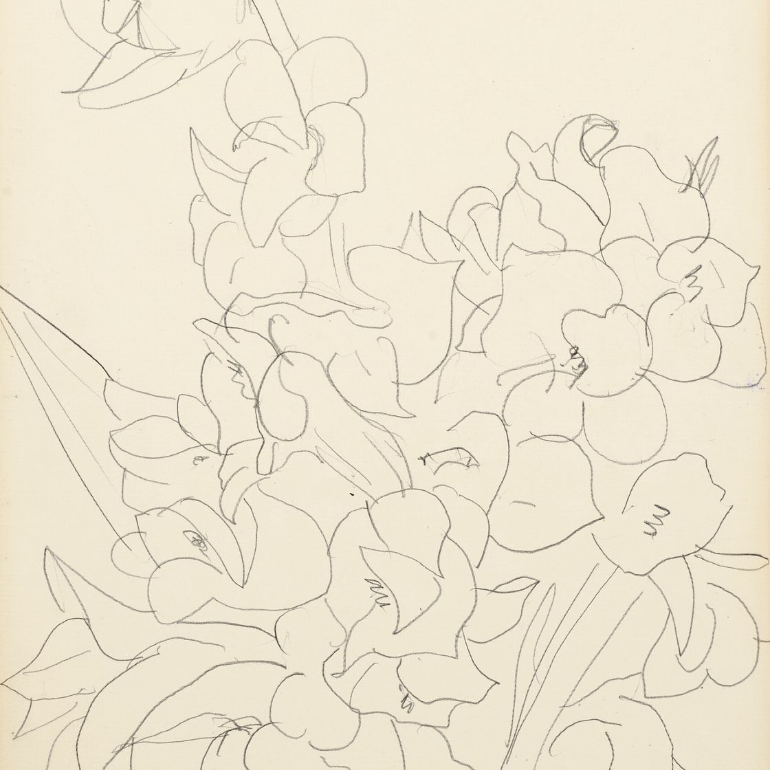 Henri Matisse — Цветы и фельетоны