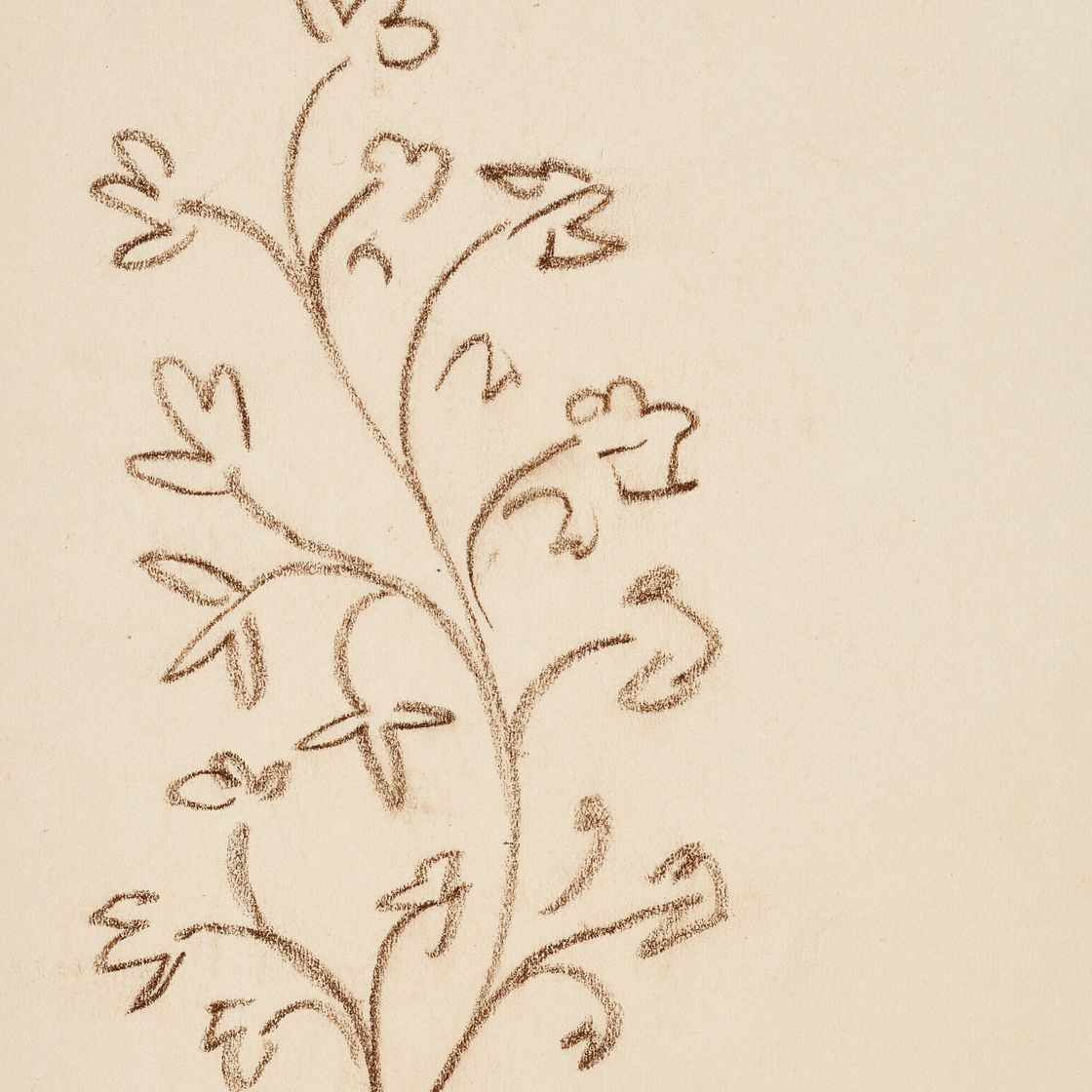Henri Matisse — Этюд из ветви