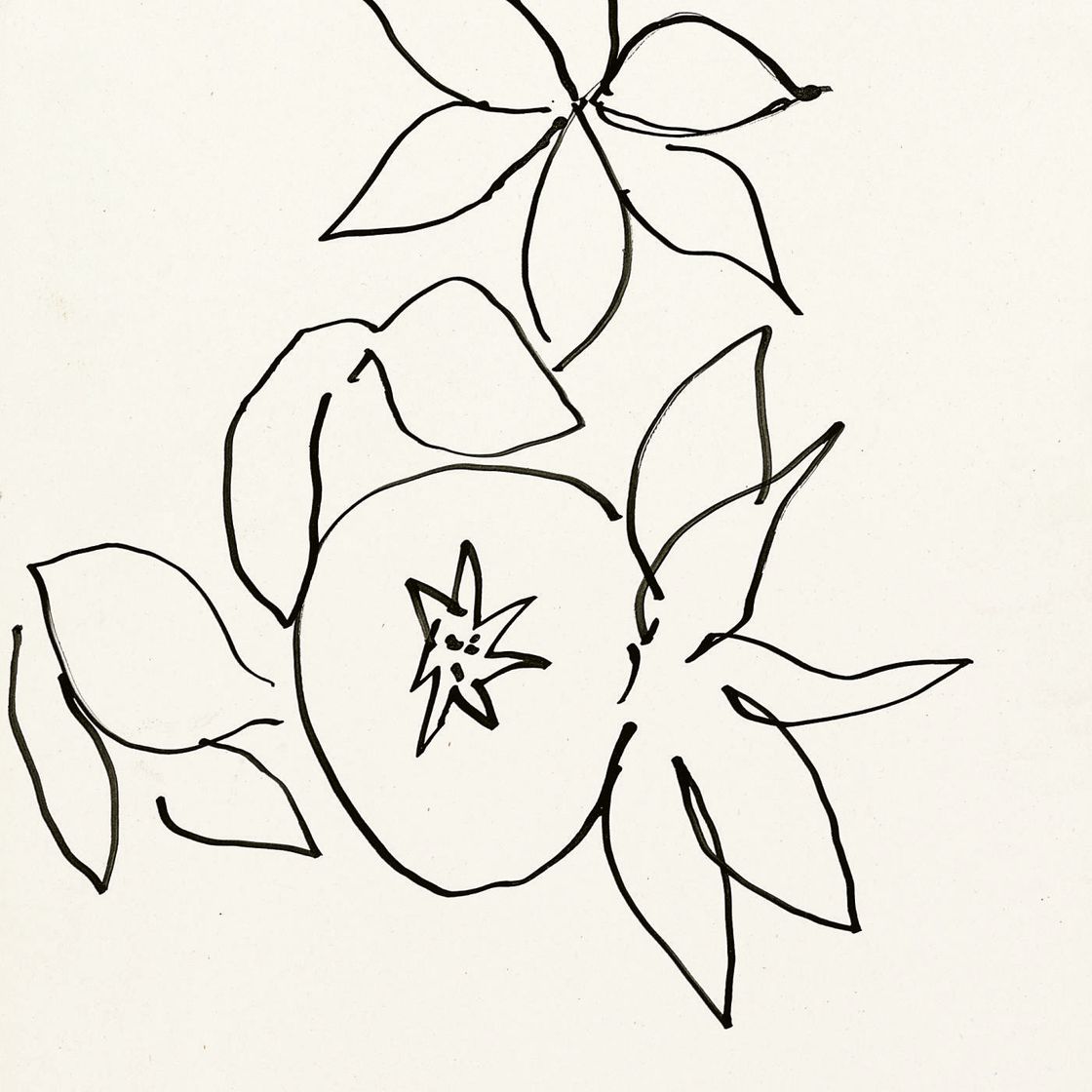 Henri Matisse — Граната