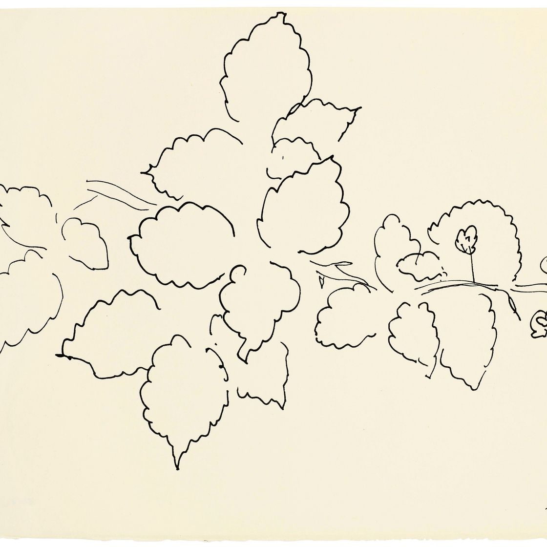 Henri Matisse — Фели и лилии