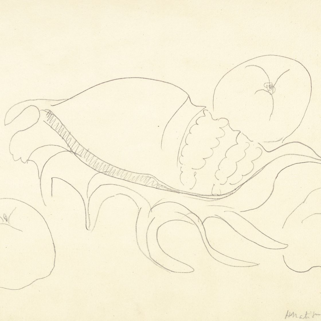 Henri Matisse — Кокетка и фрукты