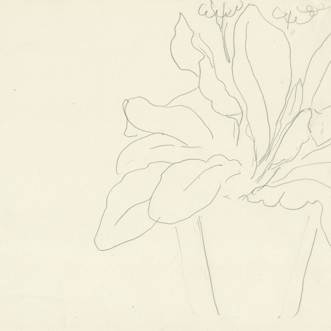 Henri Matisse — Горшок с цветами