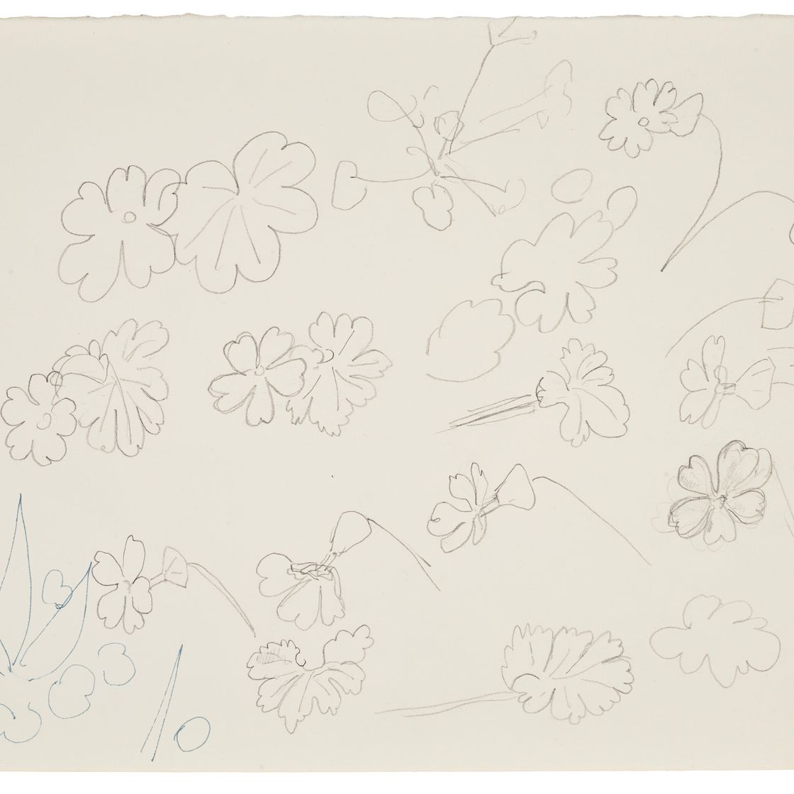 Henri Matisse — Этюды из бук (лицевая сторона); фельетоны (оборотная сторона), изображение 3