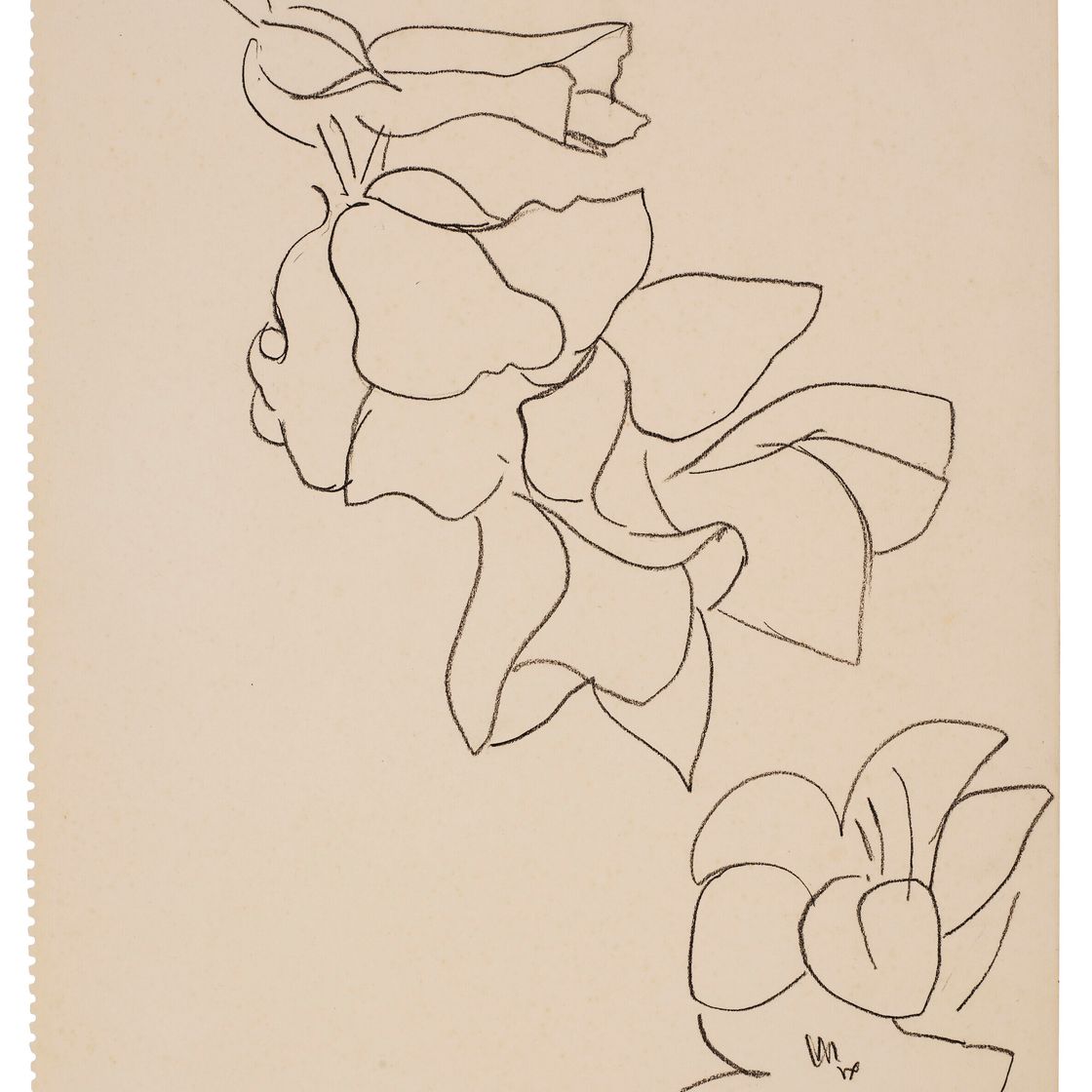 Henri Matisse — Цветы и фельетоны