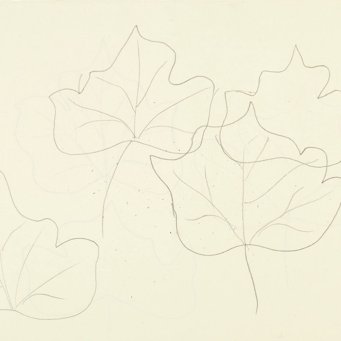 Henri Matisse — Этюды с фельетонами (лицевая и оборотная сторона )