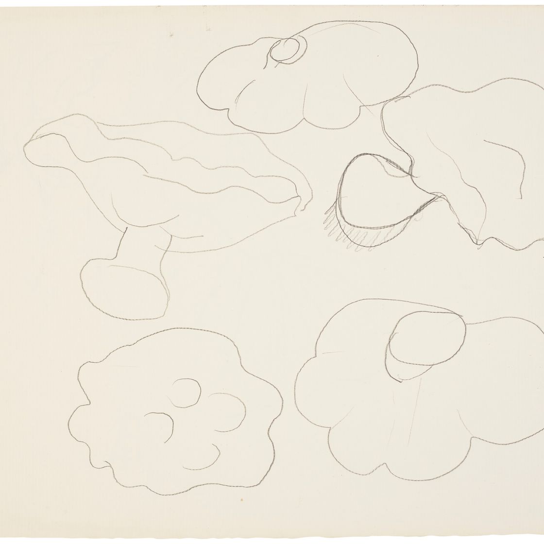 Henri Matisse — Этюд с шампиньонами (прямая и оборотная стороны)