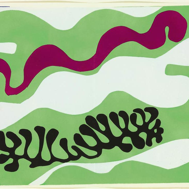 Henri Matisse — "Ле Лагон", фото XVIII из "Джаза" (ср. D. books 22)