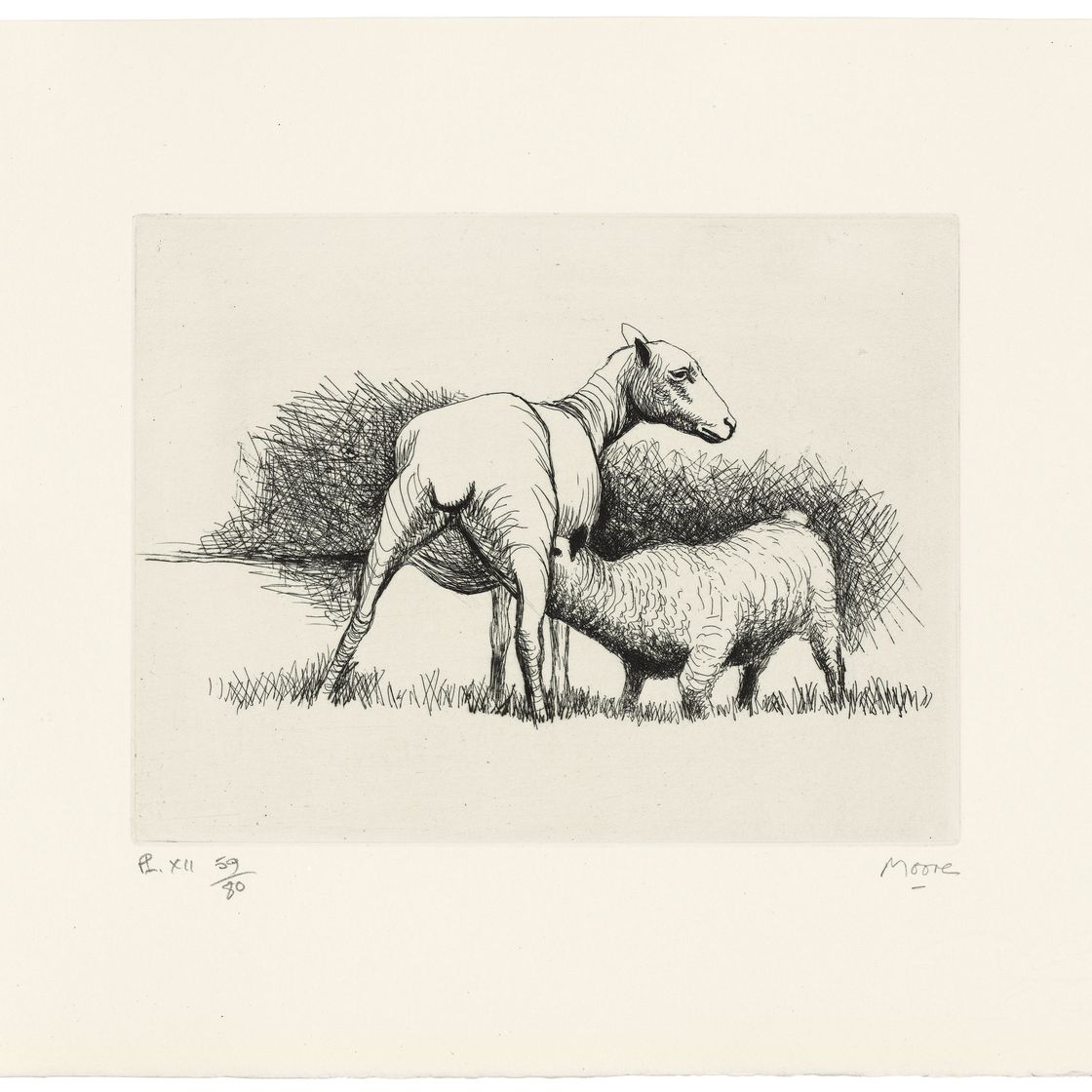 Henry Moore — Овца, изображение 7