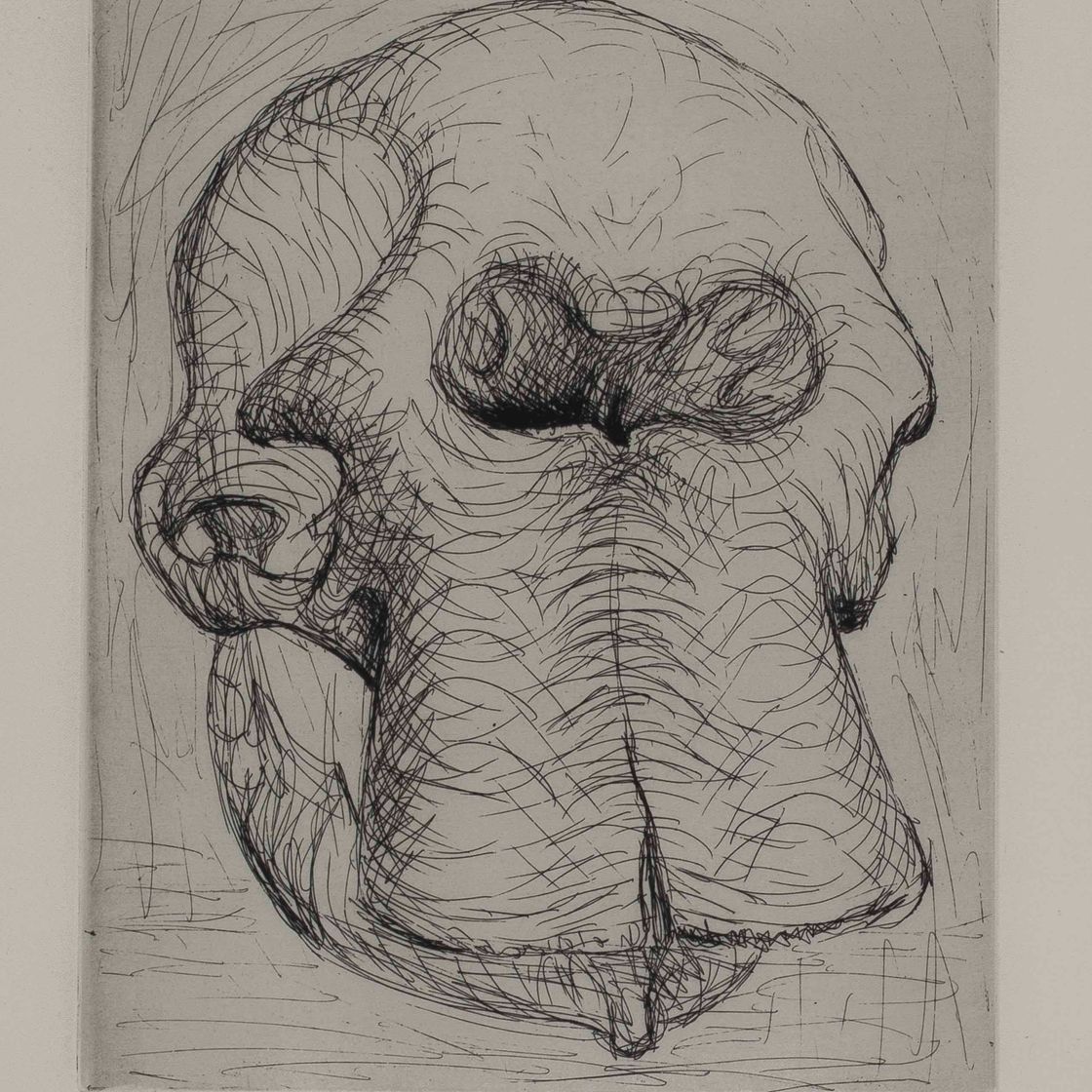 Henry Moore — Альбом с черепом слона