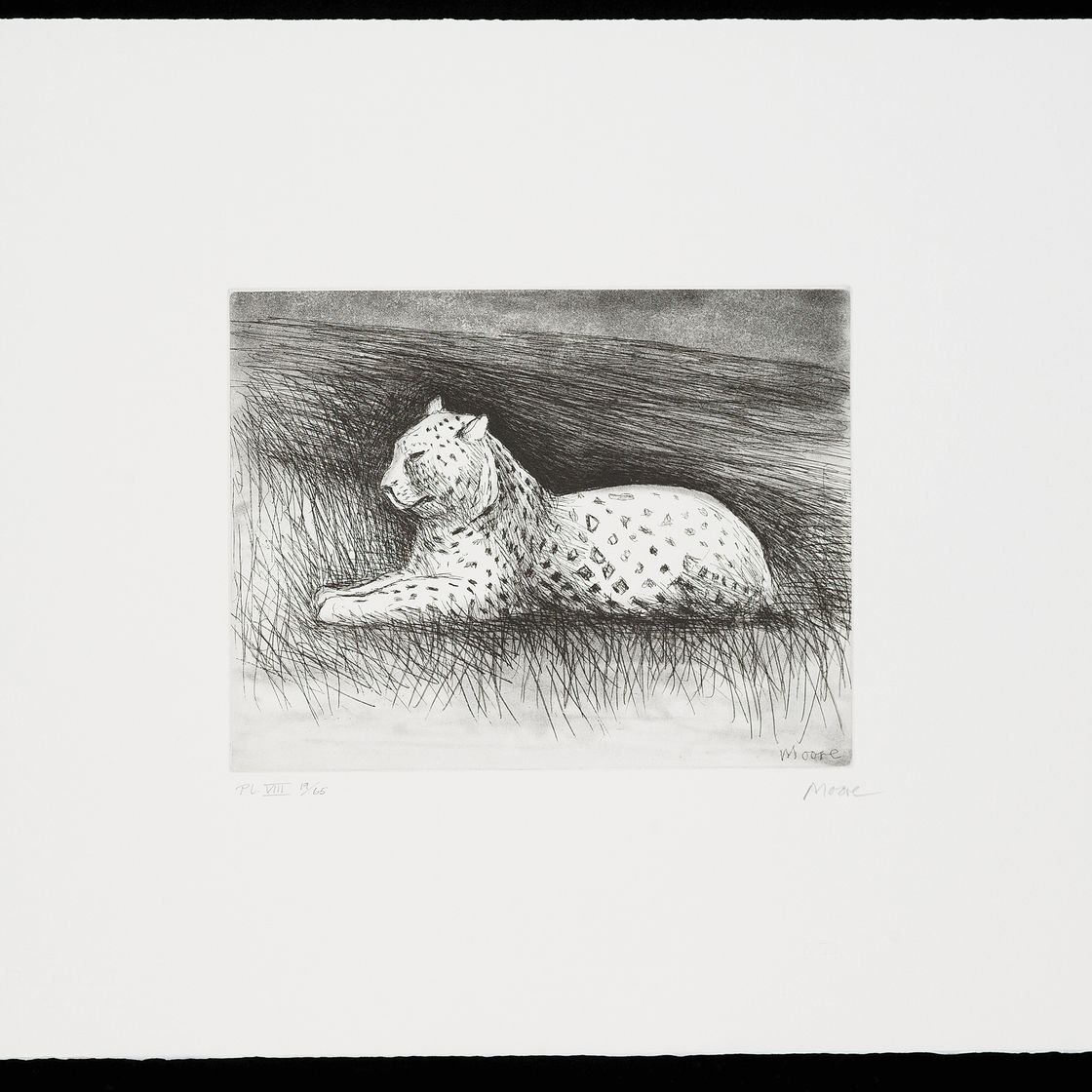 Henry Moore — Животные в зоопарке, изображение 5