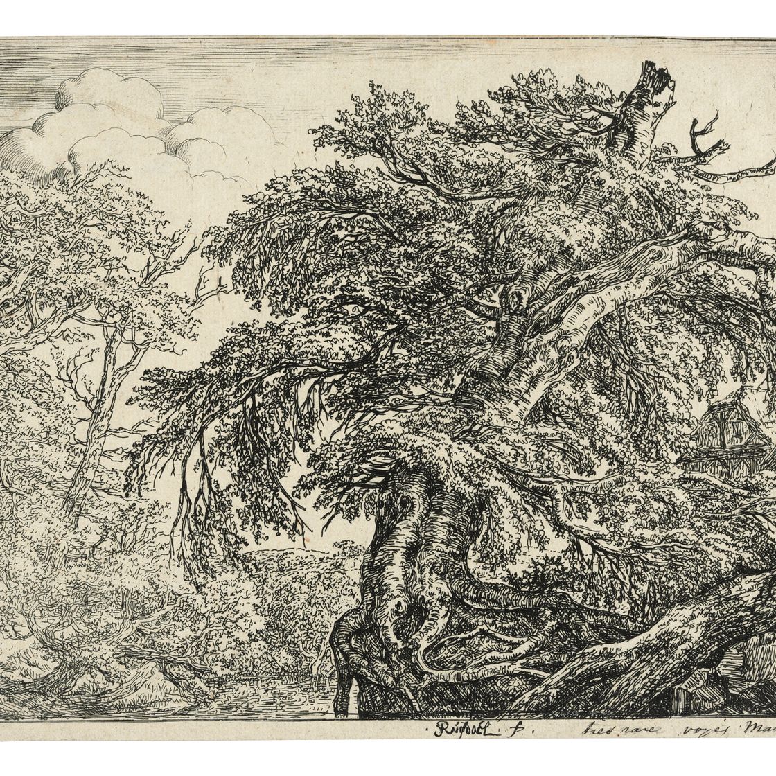 Jacob Van Ruisdael — Группа из трех гравюр, изображение 1