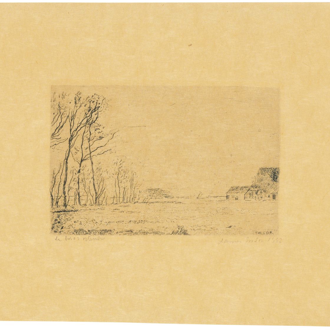 James Ensor — Лизьер-дю-пти-Буа, Остенде (Опушка небольшого леса, Остенде)