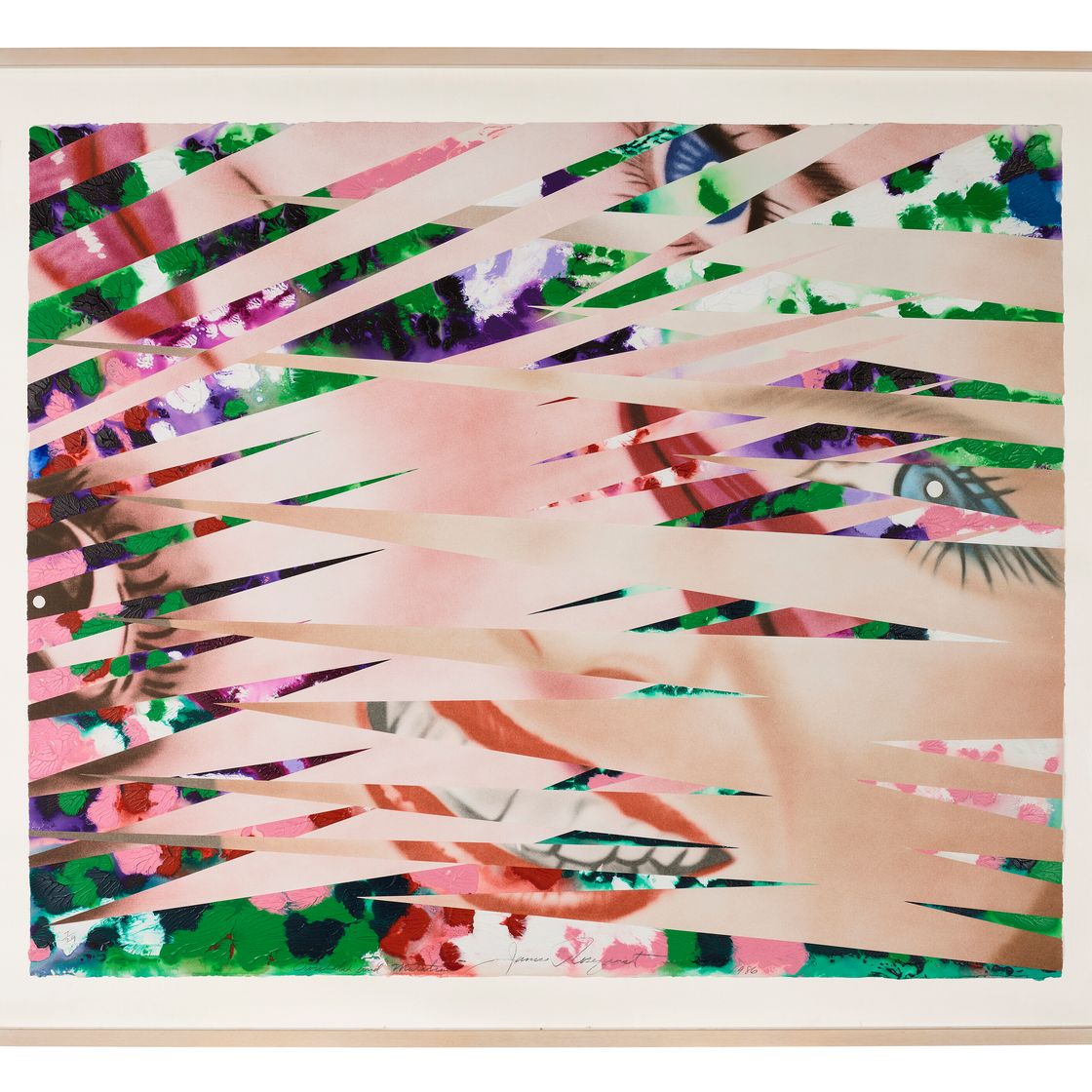 James Rosenquist — Перекрестная штриховка и мутации, из книги "Секреты гвоздик", изображение 2