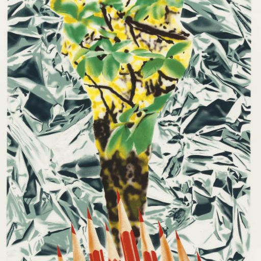James Rosenquist — Муза Катона