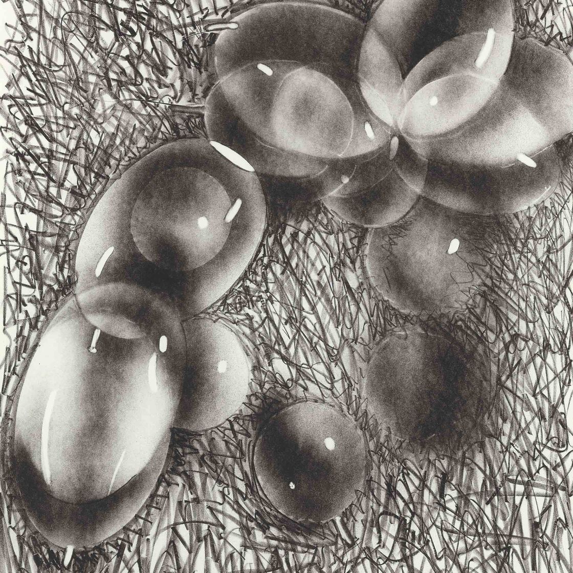 James Rosenquist — Бунраку (Гленн, 33 года)