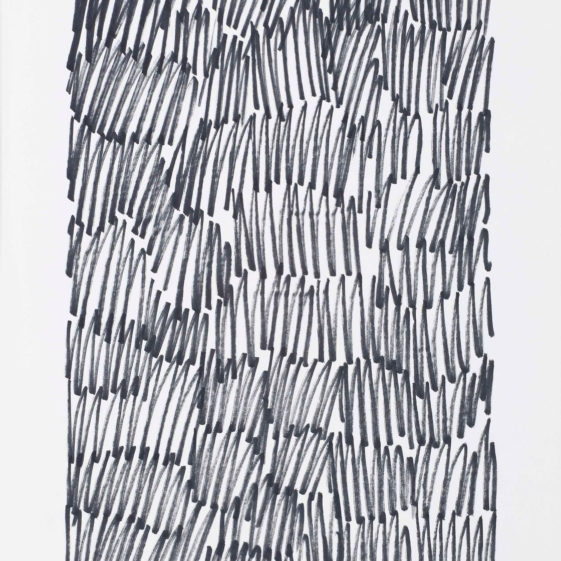 Jan Schoonhoven — Т80-30