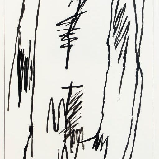 Jan Schoonhoven — Т84-74