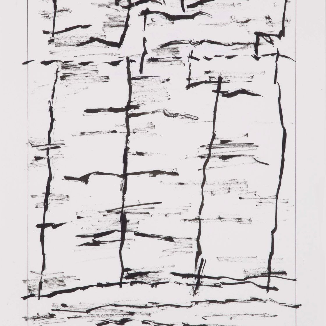 Jan Schoonhoven — Т89-25