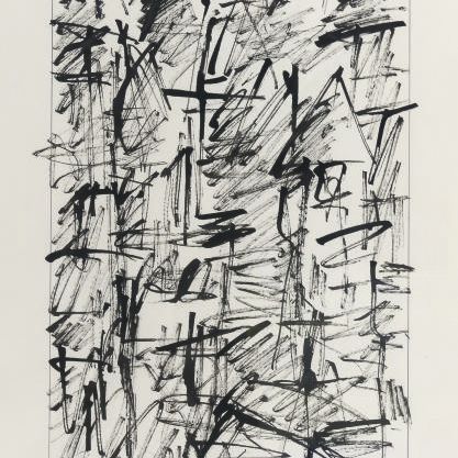 Jan Schoonhoven — Т86-105