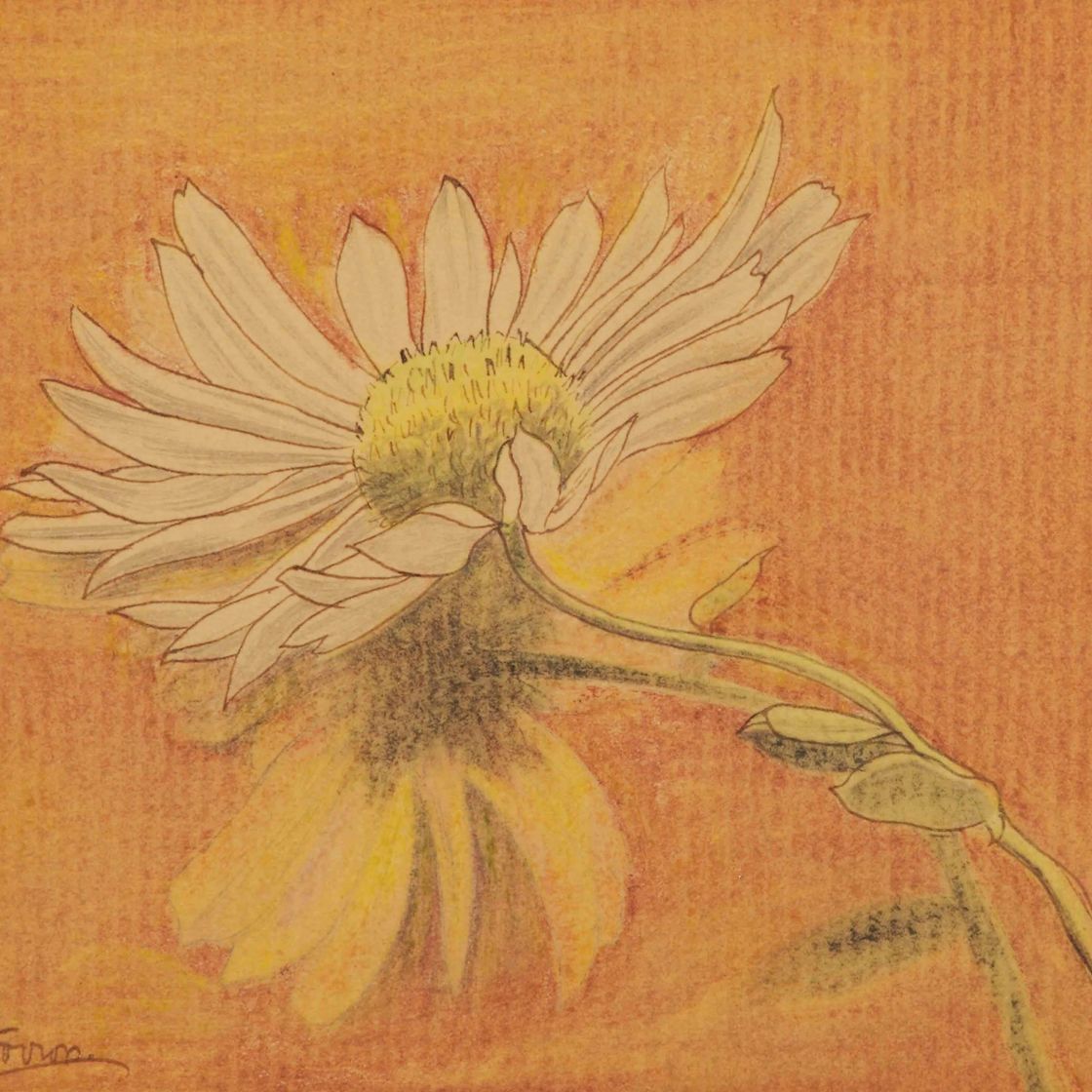 Jan Toorop — Маргаритка