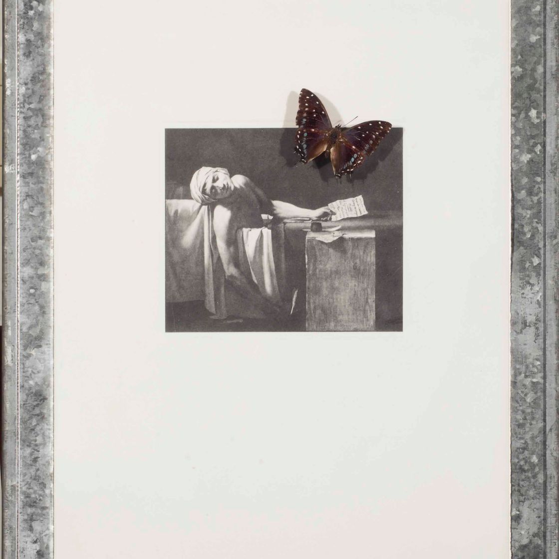 Jannis Kounellis — Без названия (Ян 7)