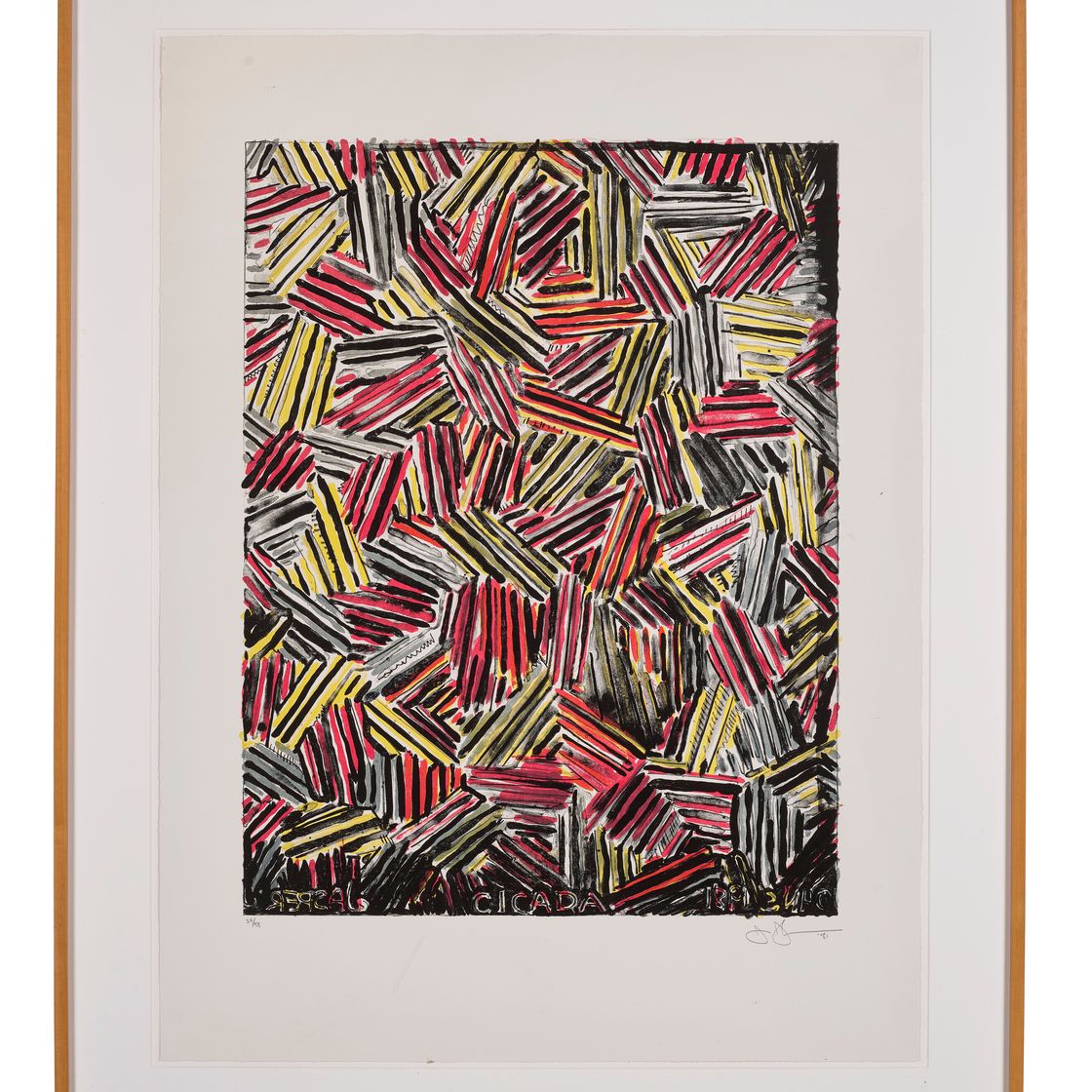 Jasper Johns — Цикада, изображение 2