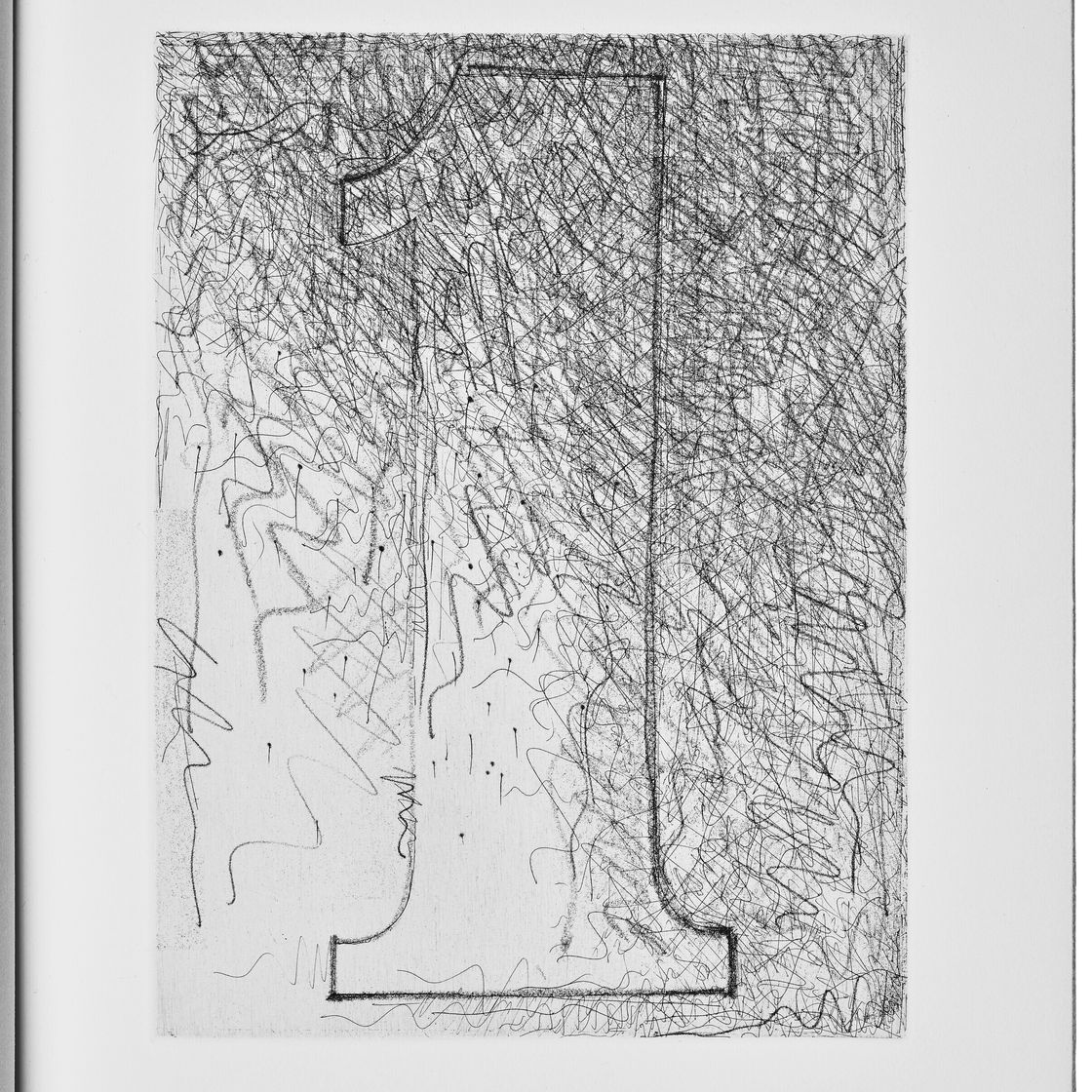 Jasper Johns — Шипучки (Фойрады), изображение 2