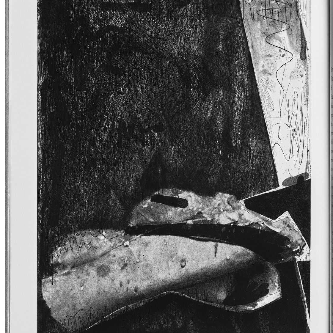 Jasper Johns — Шипучки (Фойрады), изображение 11