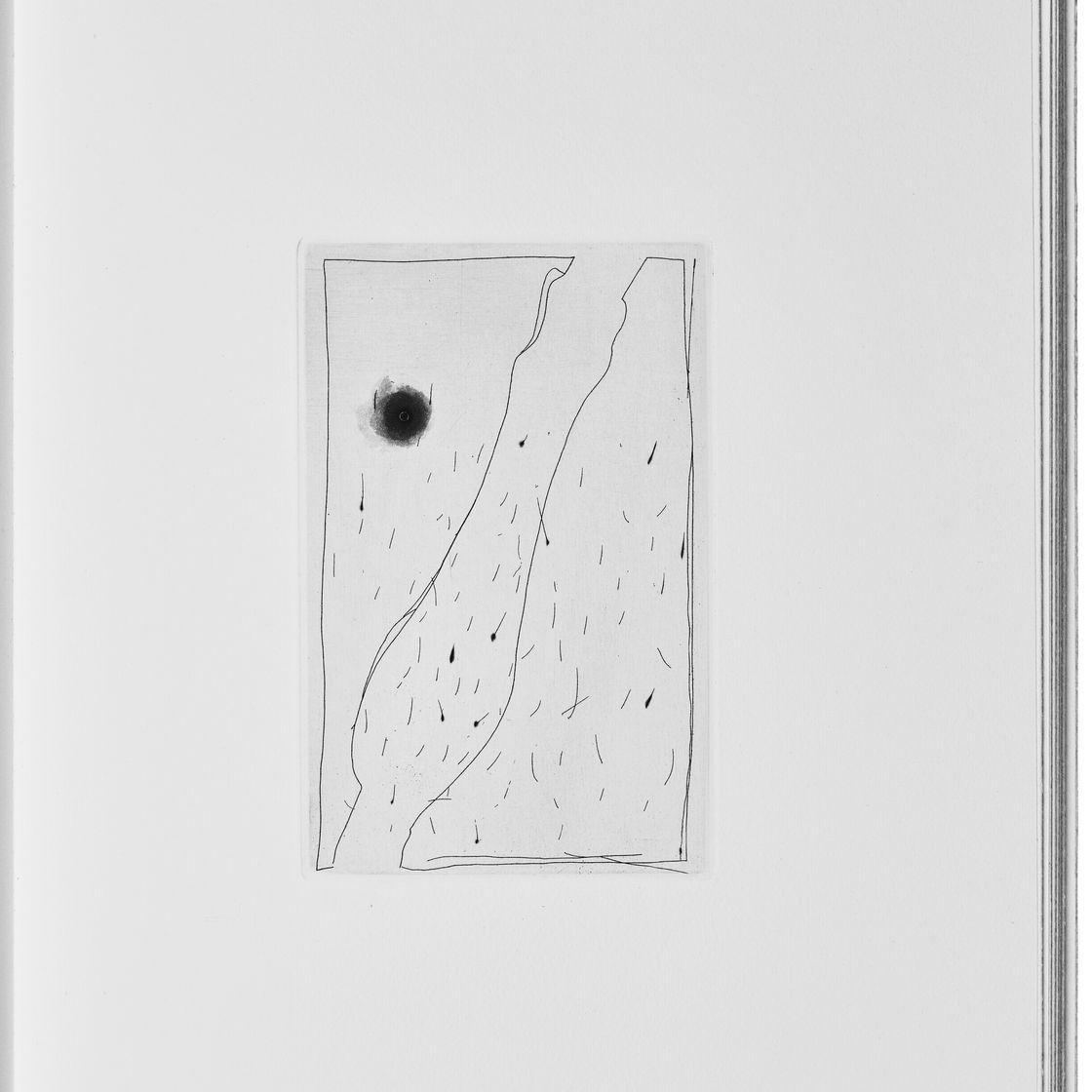 Jasper Johns — Шипучки (Фойрады), изображение 4