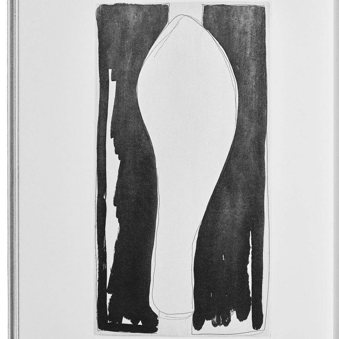 Jasper Johns — Шипучки (Фойрады), изображение 5