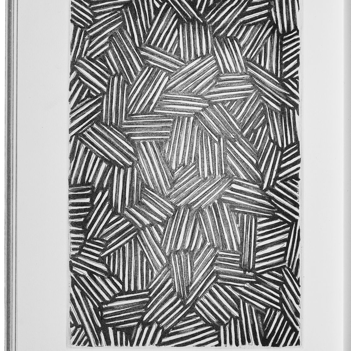 Jasper Johns — Шипучки (Фойрады), изображение 6