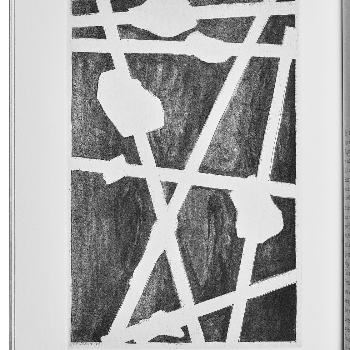 Jasper Johns — Шипучки (Фойрады), изображение 9