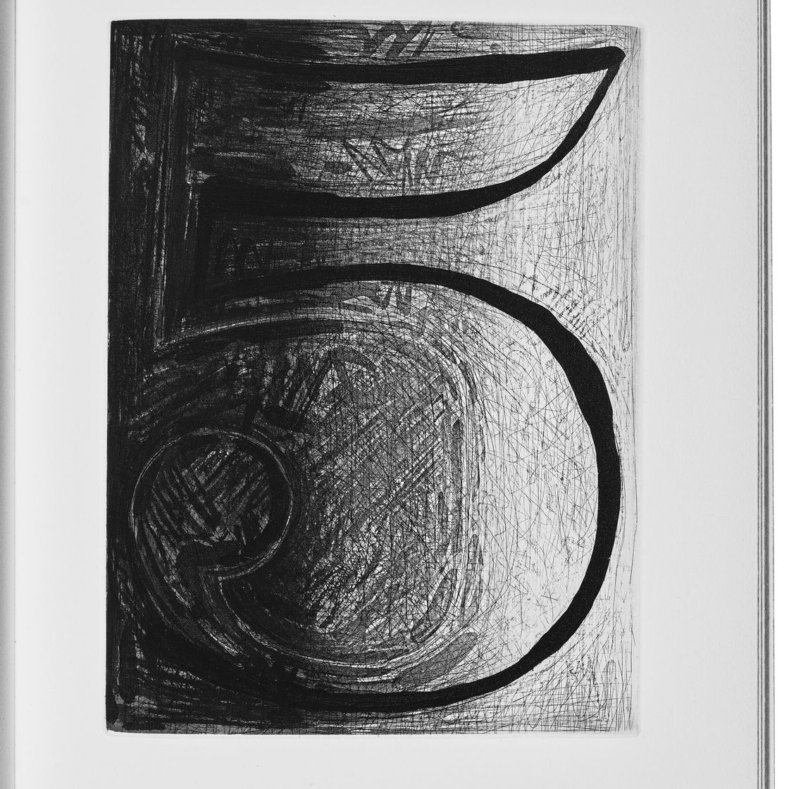 Jasper Johns — Шипучки (Фойрады), изображение 10