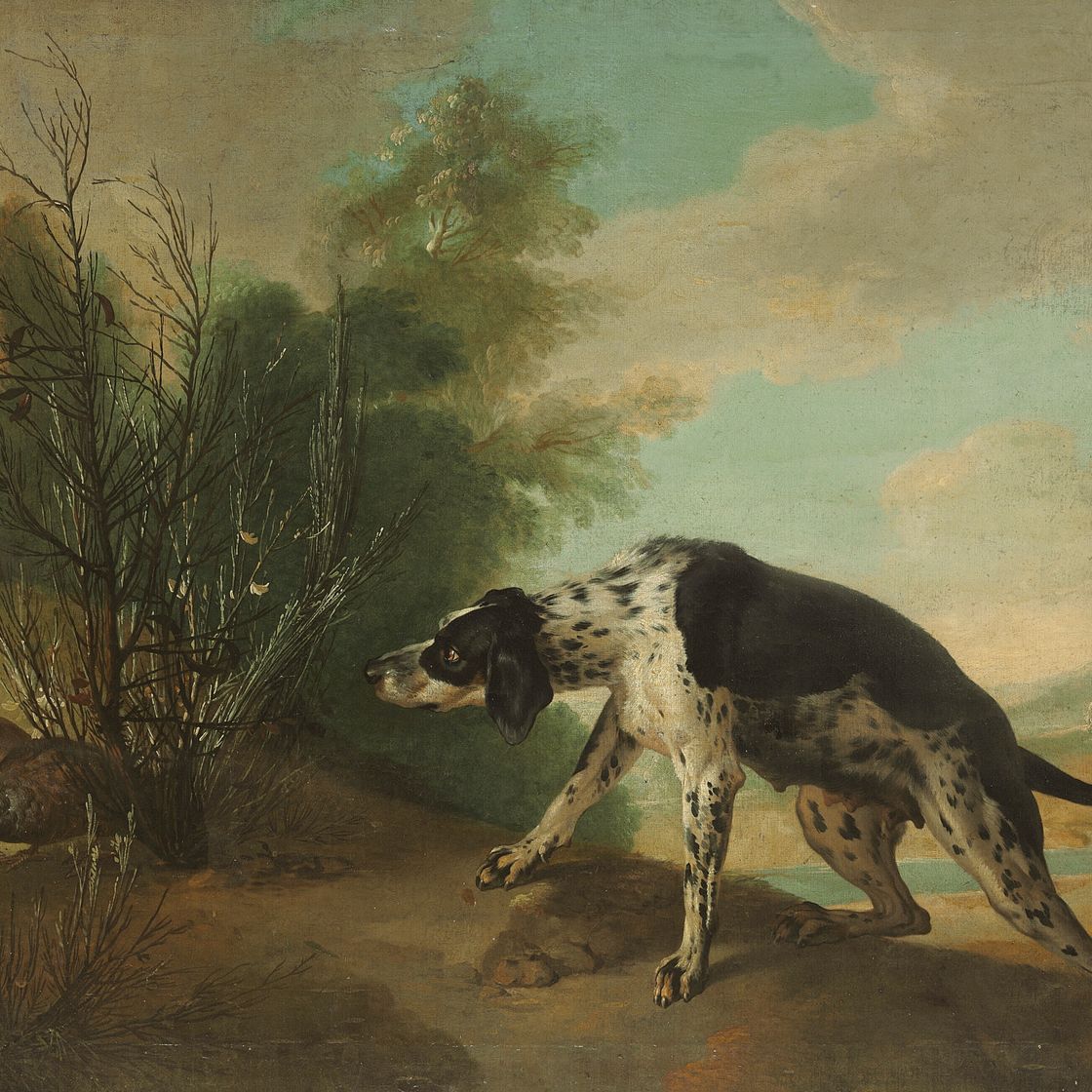 Jean Baptiste Oudry — Собака указывает на двух куропаток