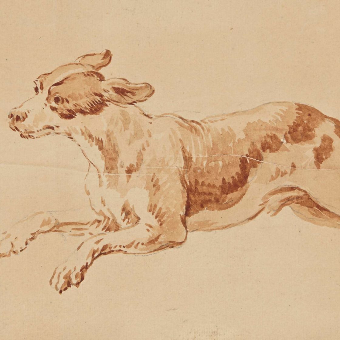 Jean Baptiste Oudry — Эпагневый связующий