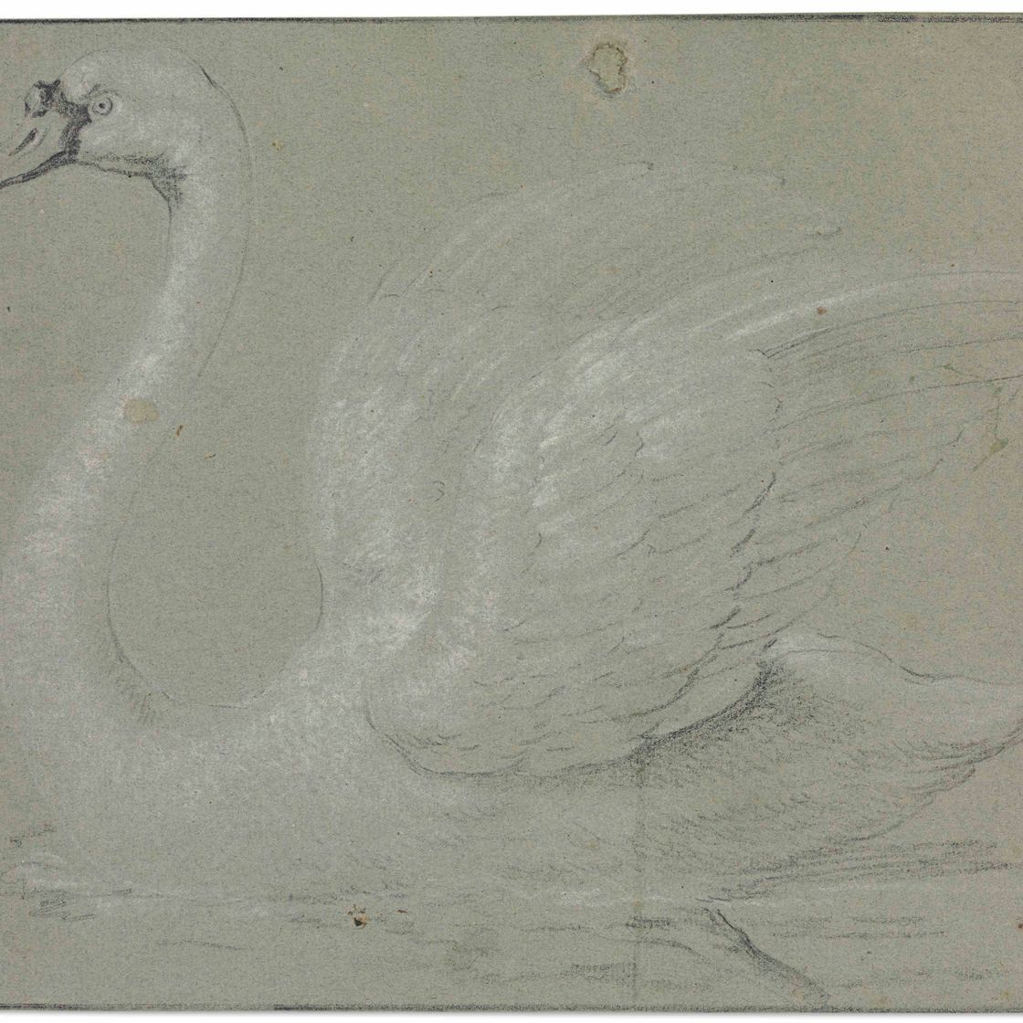 Jean Baptiste Oudry — Лебедь