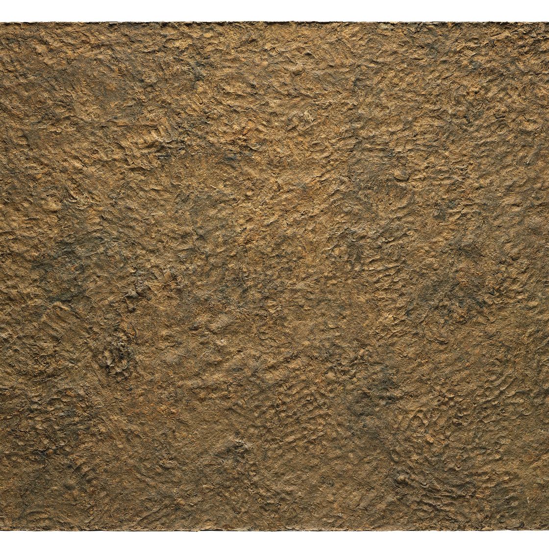 Jean Dubuffet — Радость жизни на земле