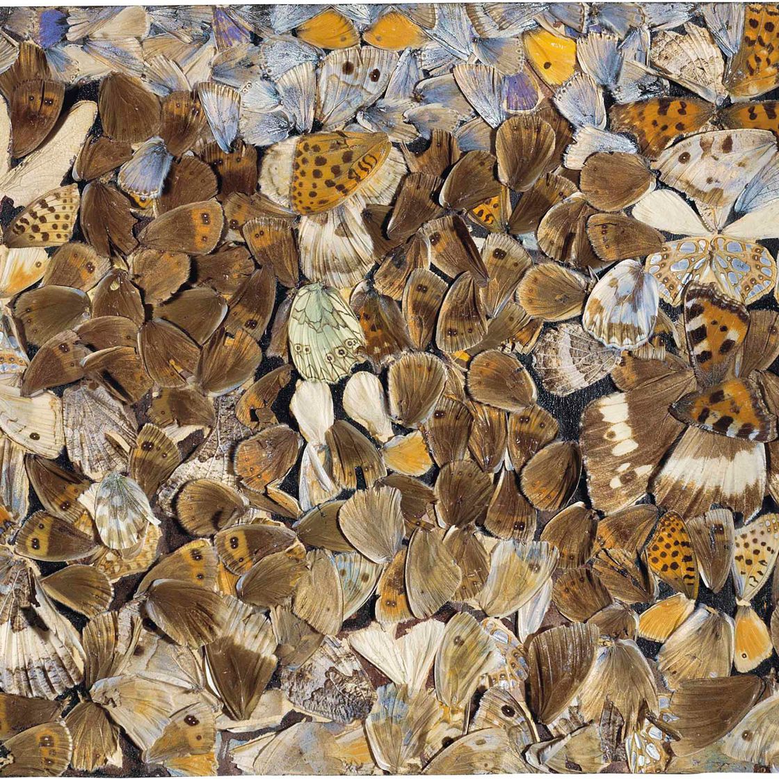 Jean Dubuffet — Размер оплаты (ландшафтный)