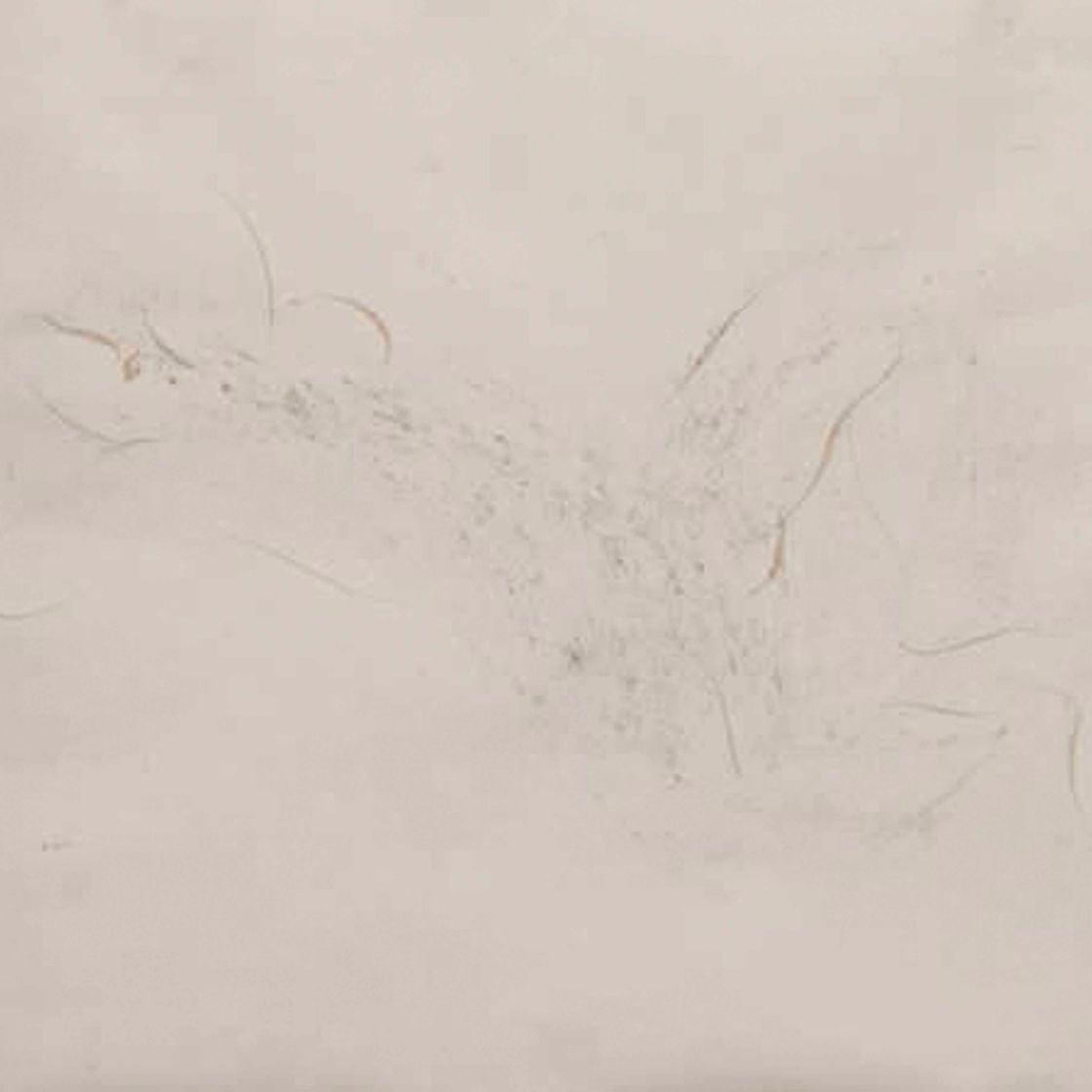 Jean Fautrier — Ню