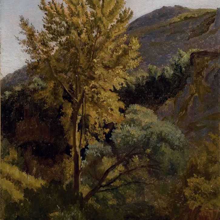 Jean-Baptiste-Camille Corot — Этюд о том, что случилось с потоком в Италии