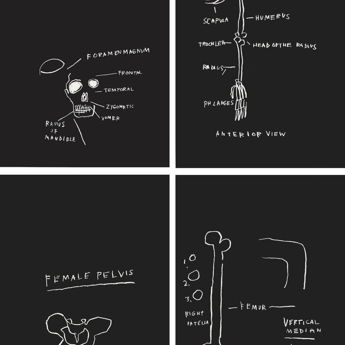 Jean-Michel Basquiat — Анатомия
