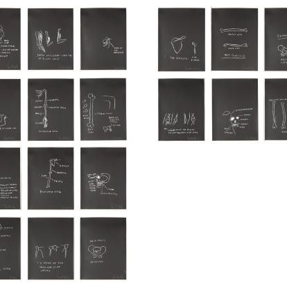 Jean-Michel Basquiat — Анатомия